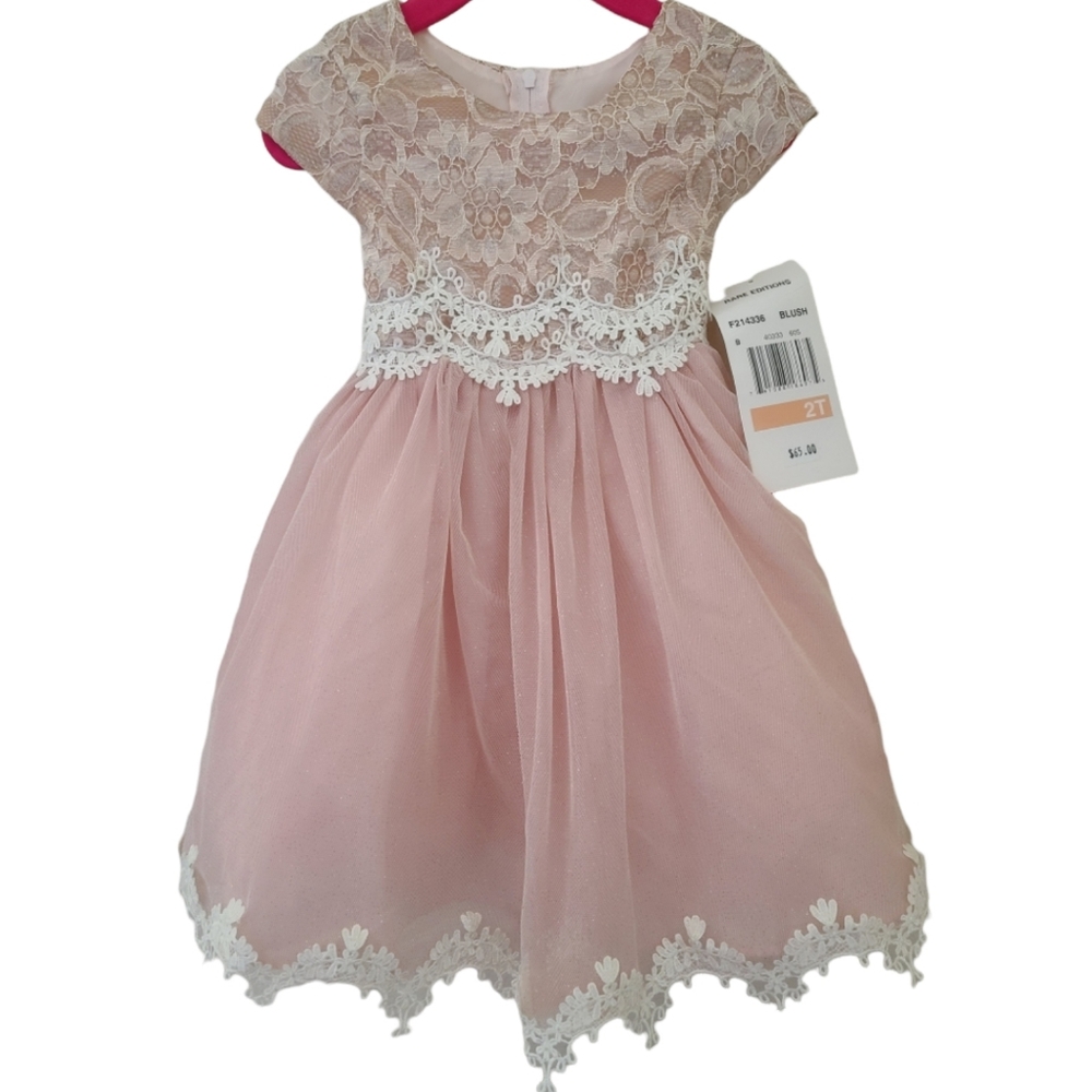 🆕️NWT Rare Editions Toddler Girl Princess Dress